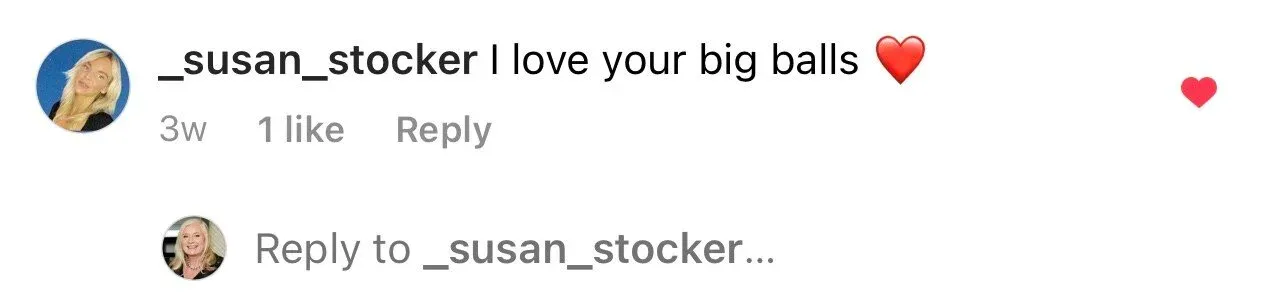 Instagram comment from _susan_stocker reading ‘I love your big balls’, with a heart.