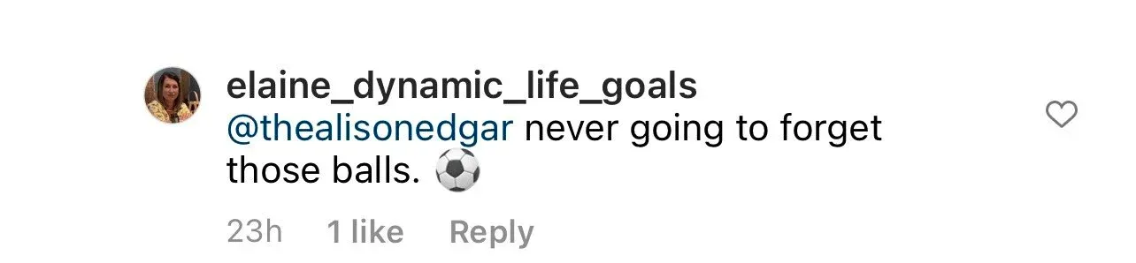 Instagram comment from elaine_dynamic_life_goals reading ‘@thealisonedgar never going to forget those balls.’